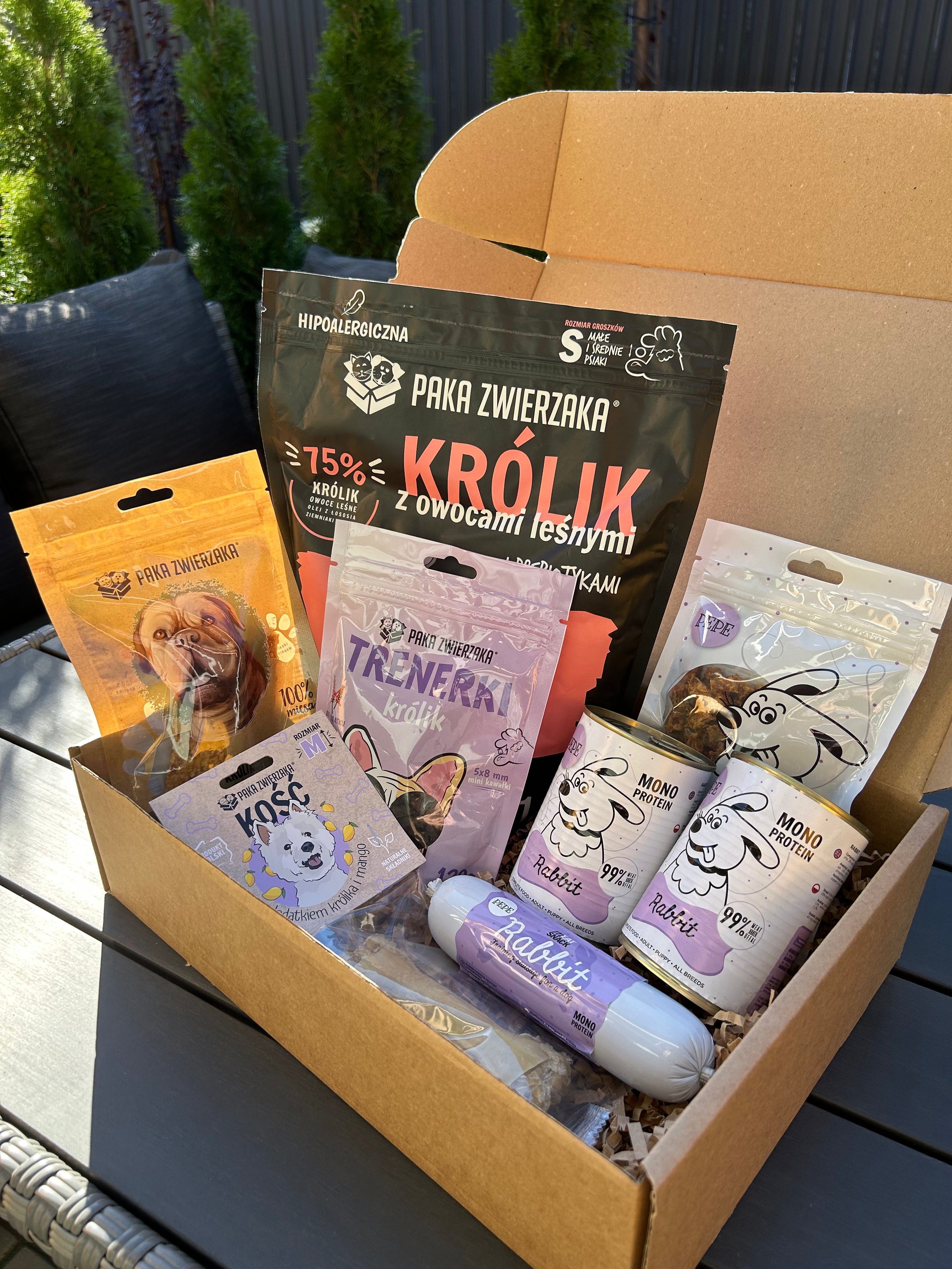 Box królik