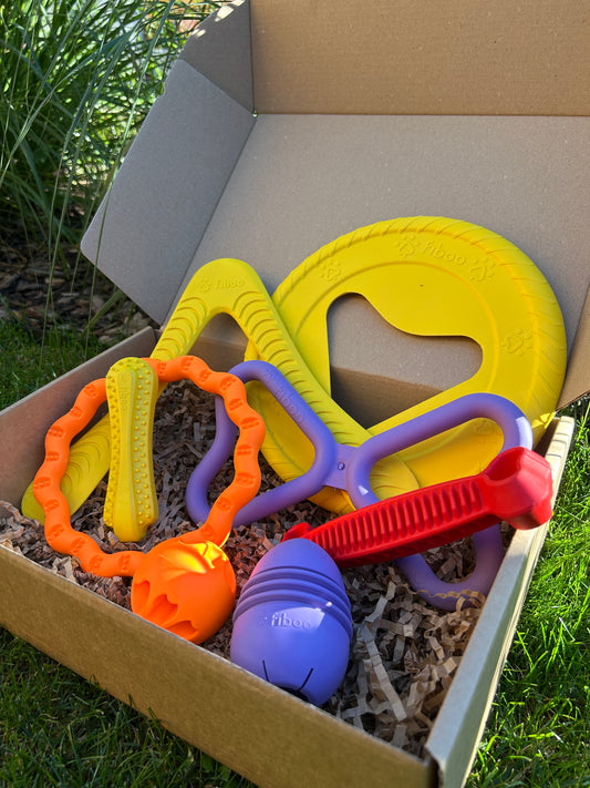 Box Aktywny Pies Max