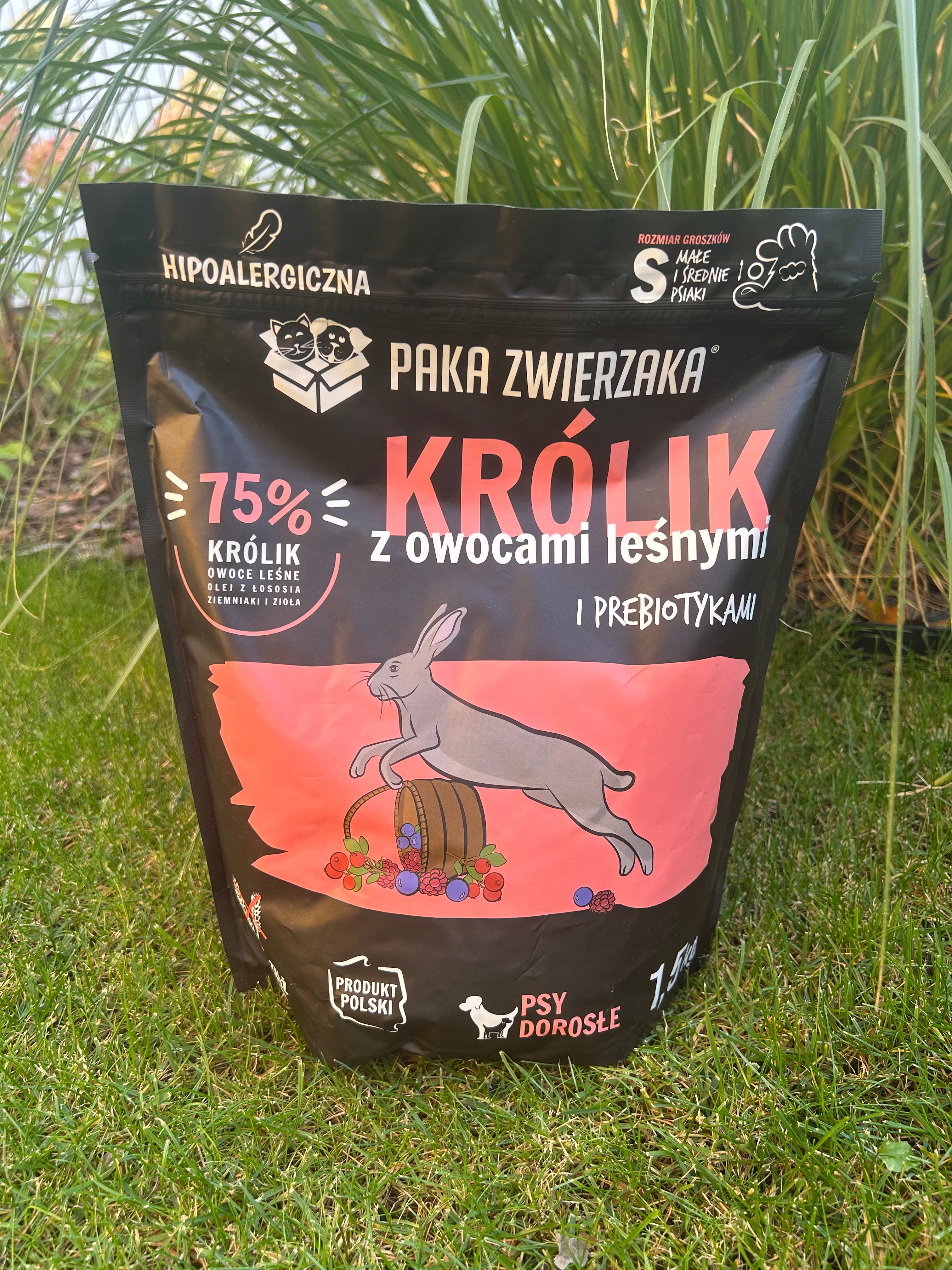 Box królik
