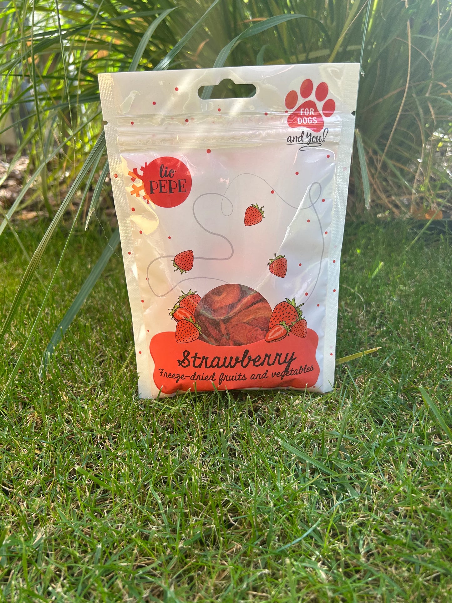 Przysmak Lio PEPE Strawberry (truskawka) 20g