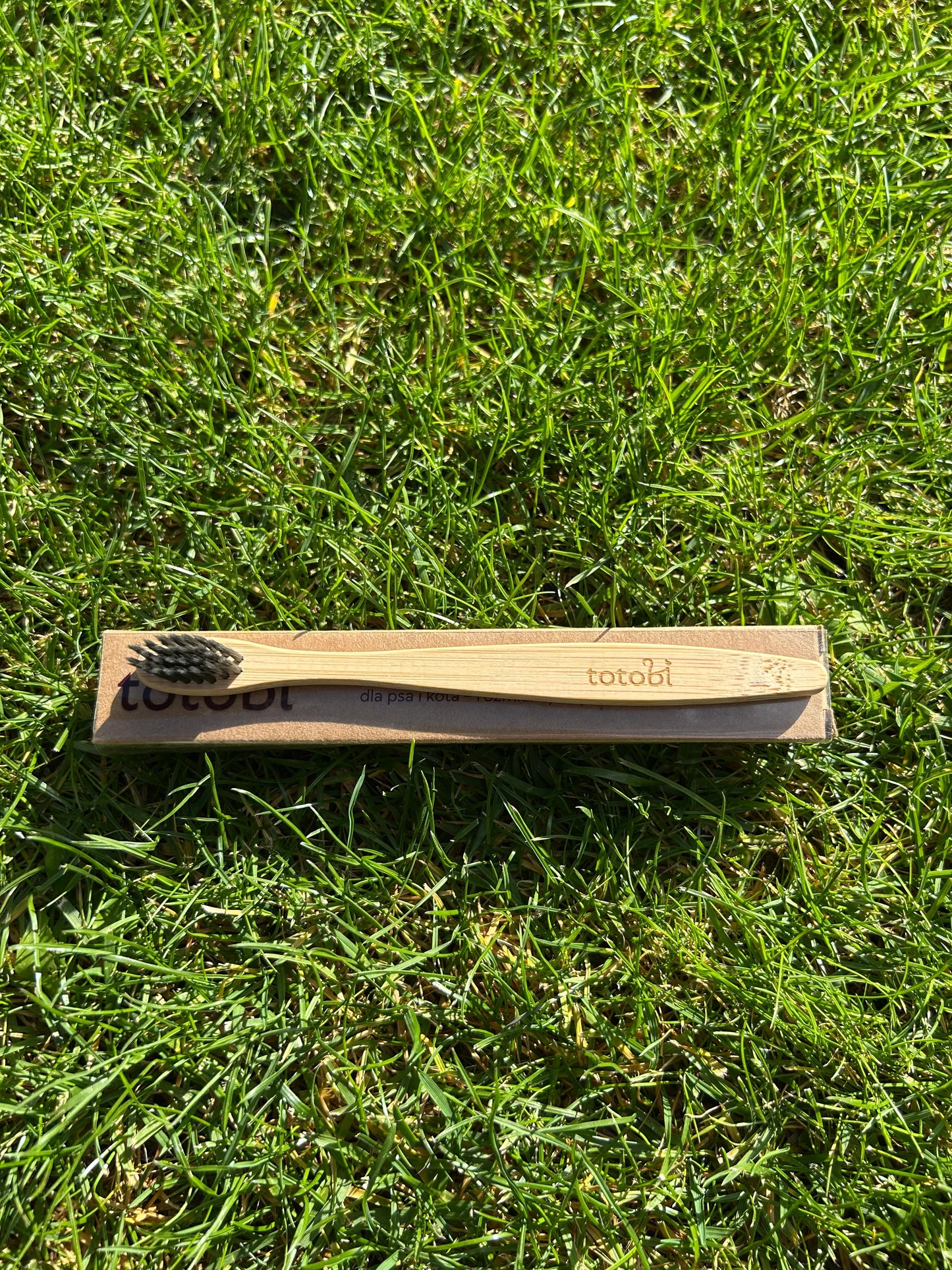 Ekologiczna szczoteczka do zębów dla psa, czarna - rozmiar S