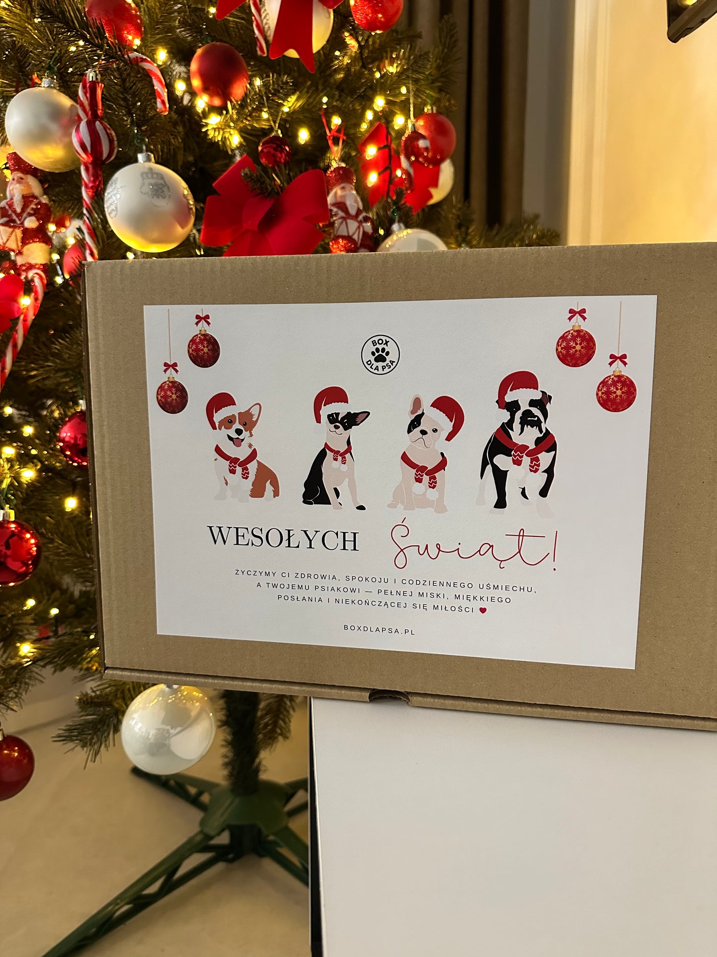 Box Świąteczny