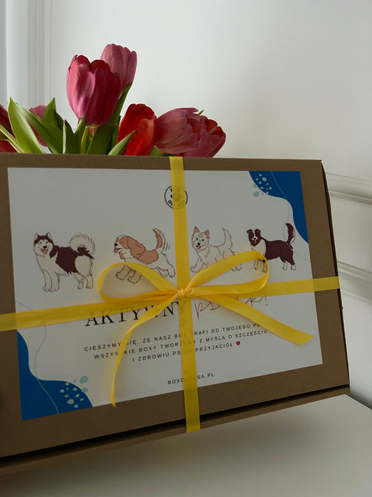 Box Aktywny Pies Mini
