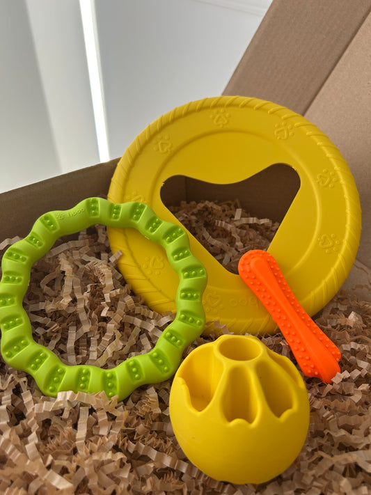 Box Aktywny Pies Mini