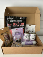Box królik