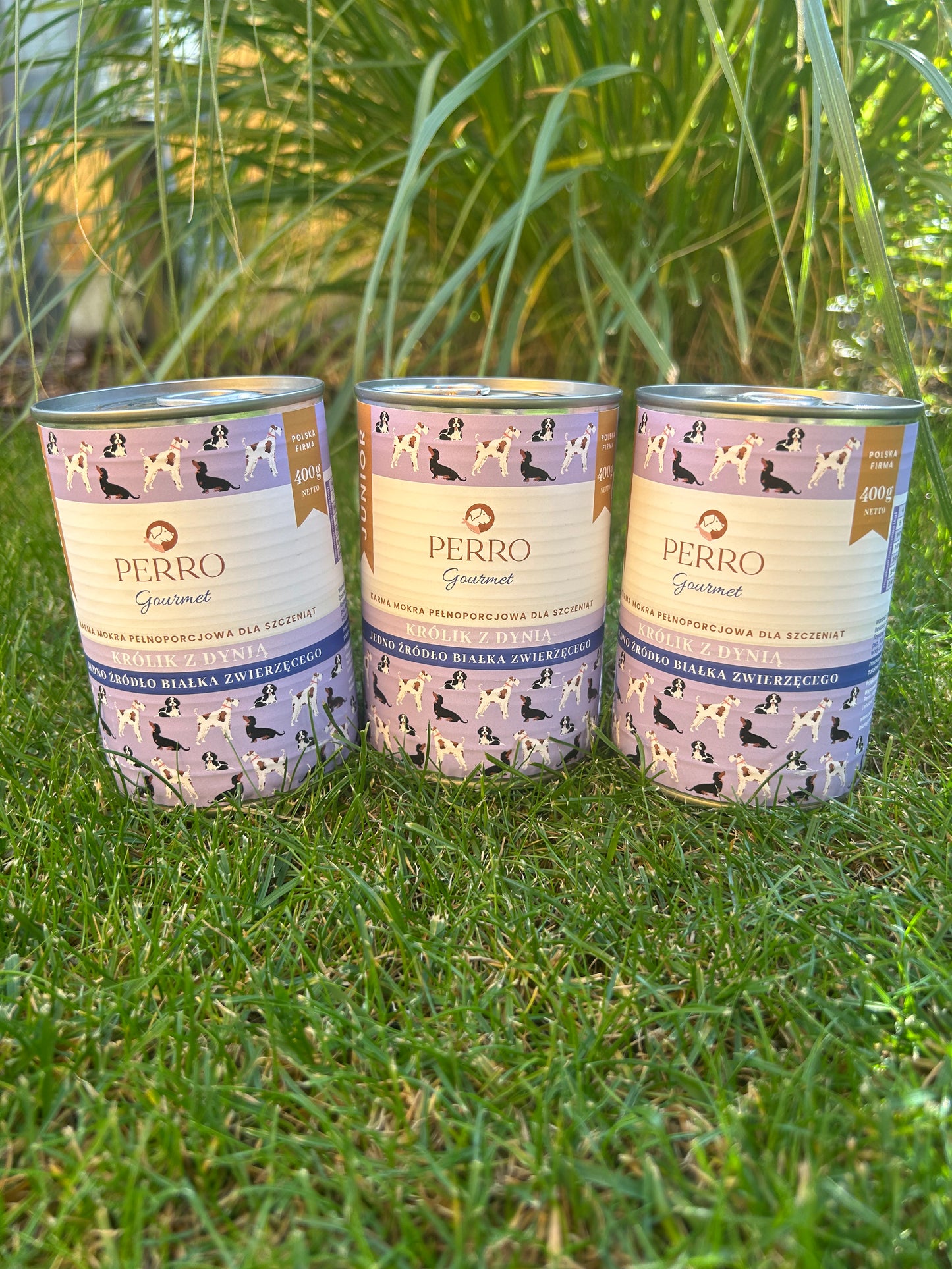 Box króliczy smaczek junior