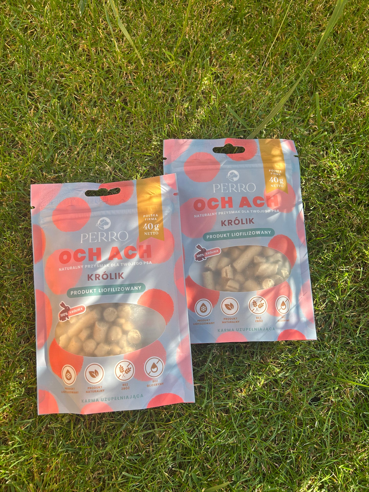 Box króliczy smaczek junior