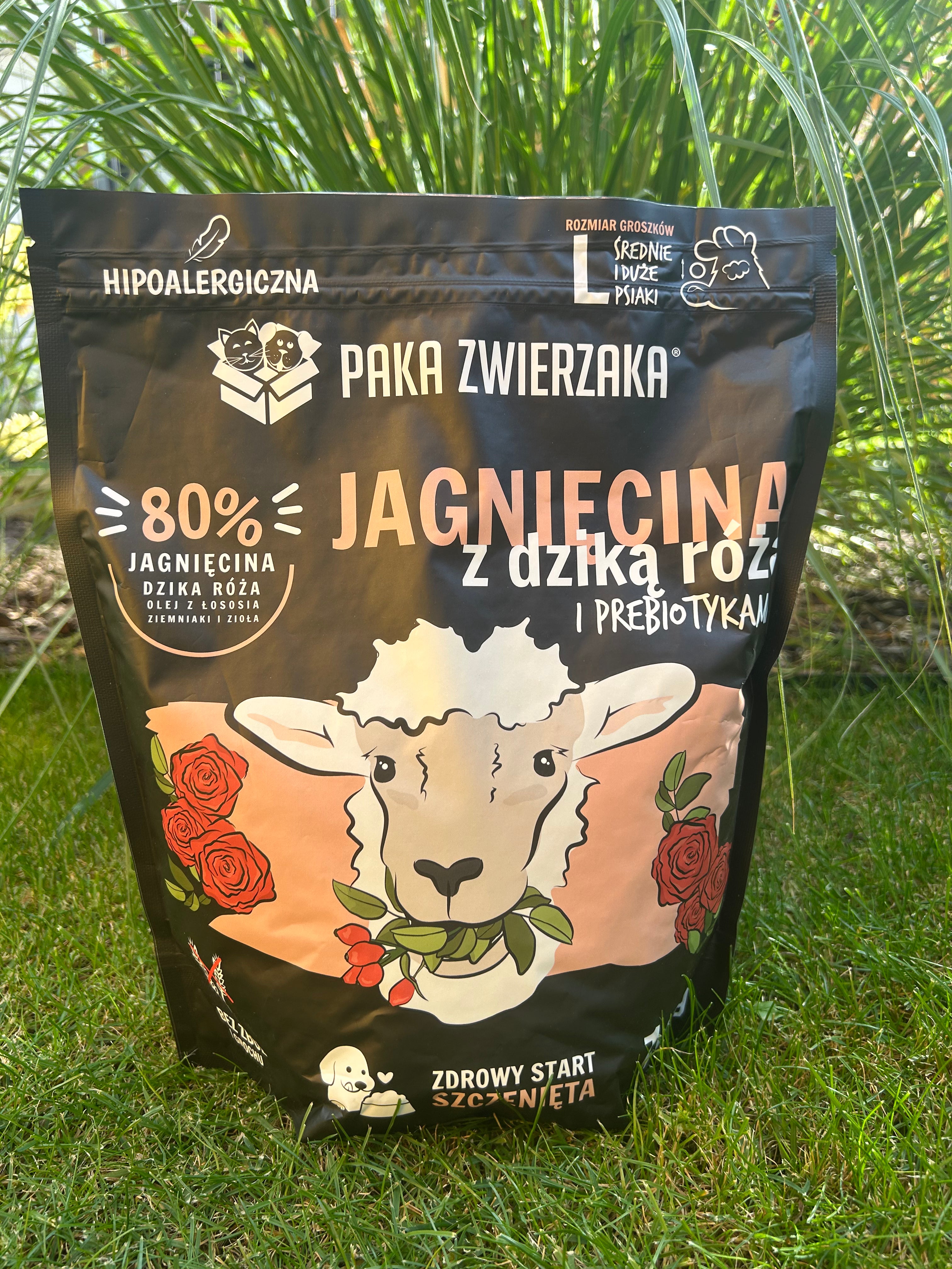Box jagnięcina junior