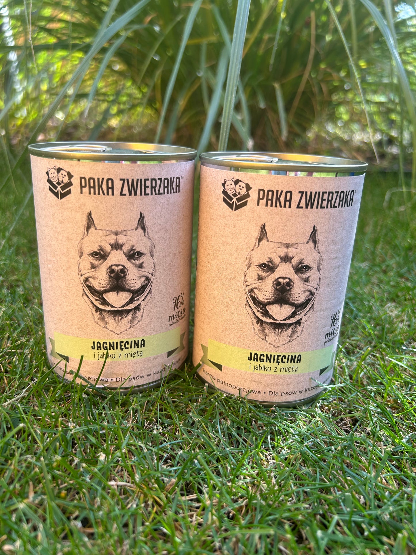 Box jagnięcina junior